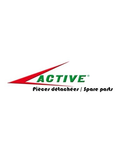 CARTER COURROIE TONDEUSE ACTIVE 5300SB