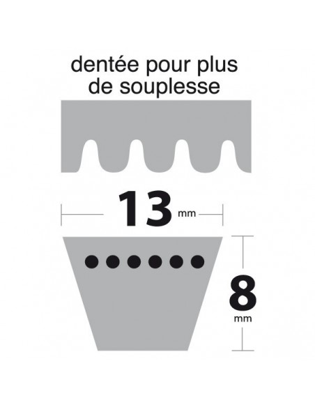 Courroie AX43 Trapézoïdale crantée. 13 mm x 1142 mm.