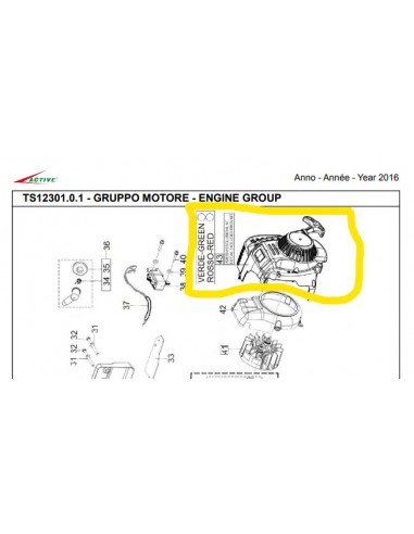 Lanceur complet Taille haie ACTIVE H24