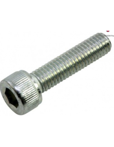 4 VIS M5 X 20 a tete pour lanceur...