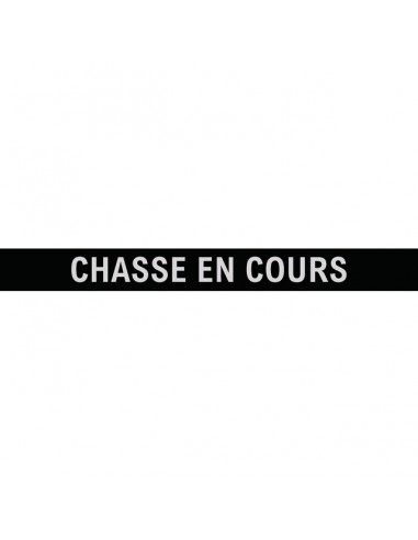 LAMELLE CHASSE EN COURS POUR RAMPE SANS FIL JEU DE 2 TECHNI-POWER