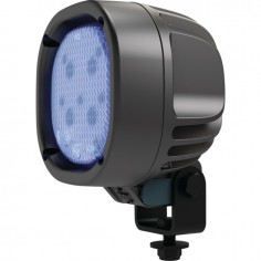 FEUX LED AVICOLE BLEUEBIRD 1010 TYRI