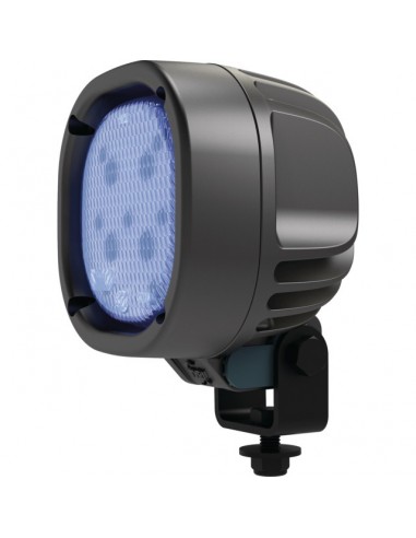 FEUX LED AVICOLE BLEUEBIRD 1010 TYRI