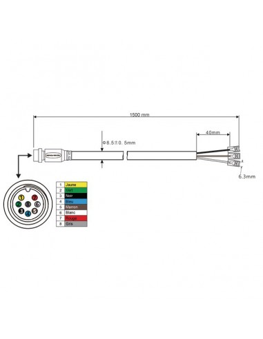 CABLE DE LIAISON MALE-COSSE  6,35 8 PIN 1M TECHNI-POWER