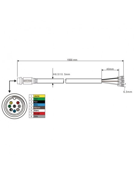 CABLE DE LIAISON MALE-COSSE  6,35 8 PIN 1M TECHNI-POWER