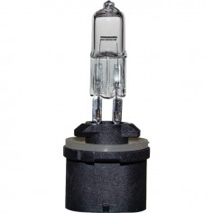 AMPOULE H885 12V 50W PG13 CASE-IH NH MF