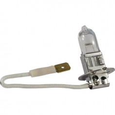 AMPOULE H3 12V 55W