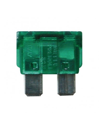 FUSIBLE ENFICHABLE 30A SACHET DE 50