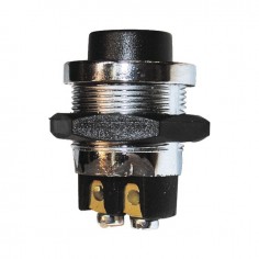 INTERRUPTEUR POUSSOIR METAL 12/24V