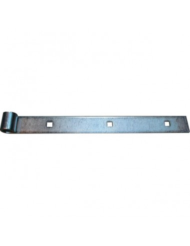 PENTURE FORTE LG 1000 ZINGUE