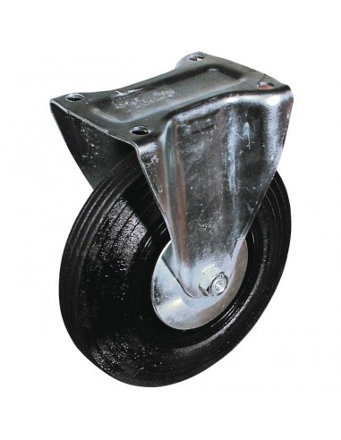 ROUE A CHAPE FIXE      D100 + PAREFILS