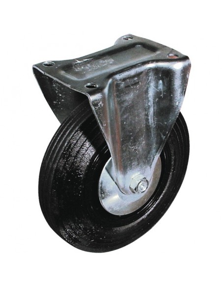 ROUE A CHAPE FIXE      D100 + PAREFILS