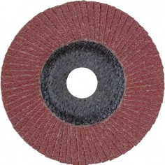 DISQUE A LAMELLES 125 MM GRAIN 80 POLIFAN PFERD 2