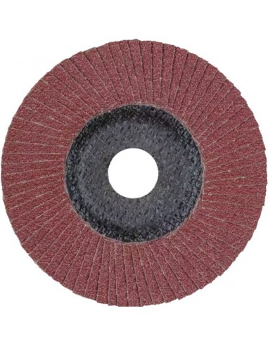 DISQUE A LAMELLES 125 MM GRAIN 80 POLIFAN PFERD