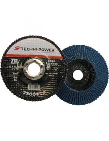 DISQUE A LAMELLES MOYEU DEPORTE 125 MM GRAIN 80 ZIRCONIUM TECHNI-POWER