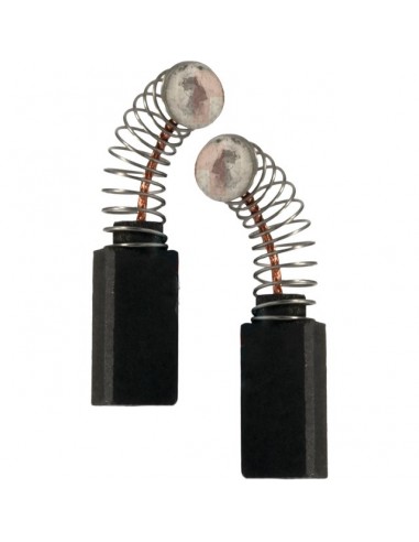 JEU DE CHARBONS BOSCH 2.604.321.905