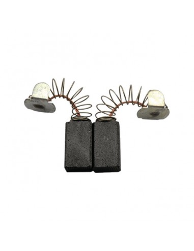 JEU DE CHARBONS RYOBI 6540043