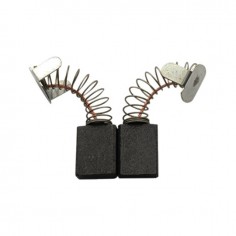 JEU DE CHARBONS RYOBI 6540053