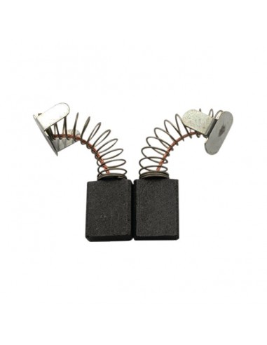 JEU DE CHARBONS RYOBI 6540053