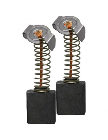 JEU DE CHARBONS RYOBI 6540603