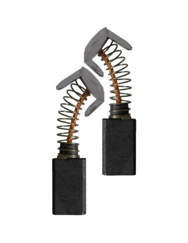 JEU DE CHARBONS RYOBI 6540593/1363/573