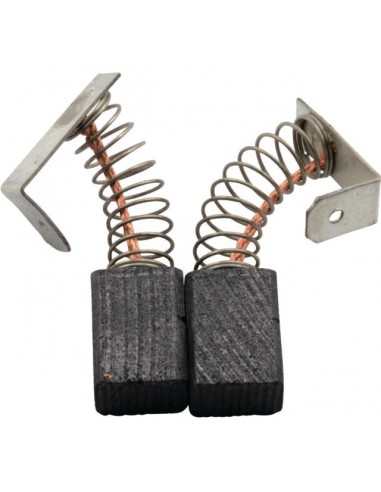 JEU DE CHARBONS RYOBI 6540743