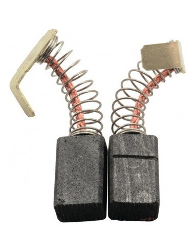 JEU DE CHARBONS RYOBI 6540993