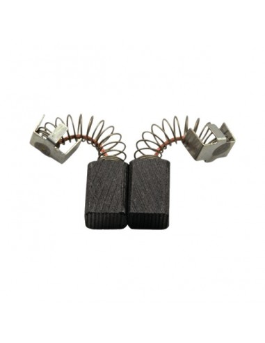 JEU DE CHARBONS RYOBI 6540023