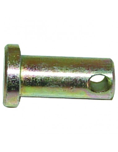 AXE DE FLEAU POUR CARROY GIRAUDON