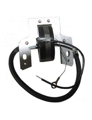 BOBINE ALLUMAGE POUR BRIGGS & STRATTON 4-5CV (298316)