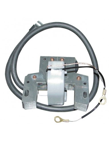 BOBINE ALLUMAGE POUR BRIGGS & STRATTON 7-16CV (298968)