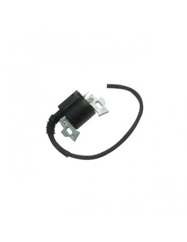 BOBINE ALLUMAGE POUR HONDA GX (30500ZE1003)