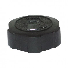 BOUCHON ESSENCE M43 POUR BRIGGS & STRATTON (397974)