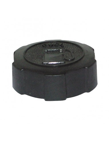 BOUCHON ESSENCE M43 POUR BRIGGS & STRATTON (397974)