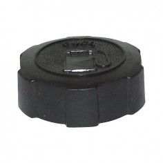 BOUCHON ESSENCE POUR BRIGGS & STRATTON Ø INTERIEUR 43 MM 2