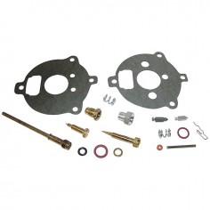 KIT CARBURATION POUR BRIGGS & STRATTON 7/9CV (394693)