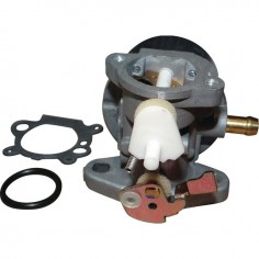 CARBURATEUR STARTER MANUEL POUR BRIGGS & STRATTON
