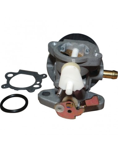 CARBURATEUR STARTER MANUEL POUR BRIGGS & STRATTON