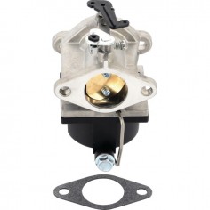 CARBURATEUR  POUR TECUMSEH OHV110 A OHV135 (640065A)
