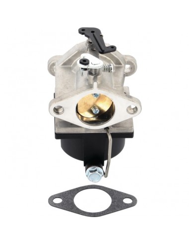 CARBURATEUR  POUR TECUMSEH OHV110 A OHV135 (640065A)