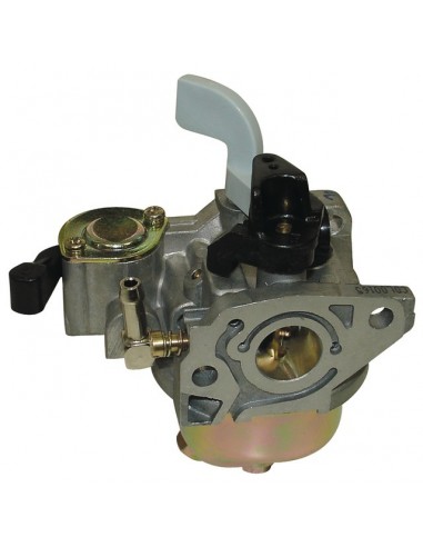 CARBURATEUR POUR HONDA GX100 (16100-Z4E-003)