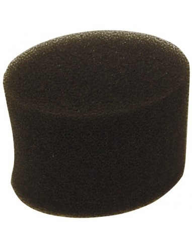 FILTRE A AIR POUR ASPERA