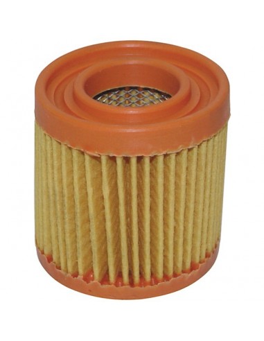FILTRE A AIR POUR TECUMSEH BVL/BH (23410027)