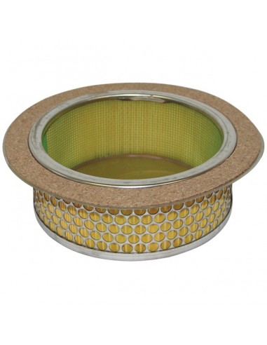 FILTRE A AIR POUR BERNARD MOTEURS BM4/BM5 (020062)