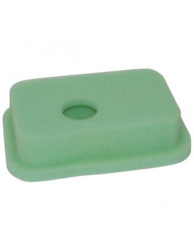 FILTRE A AIR POUR BRIGGS & STRATTON 4CV (270067)