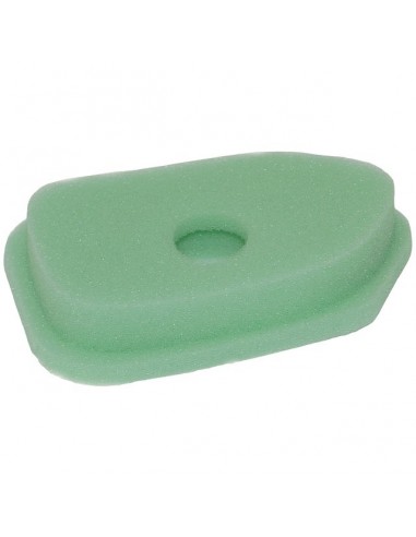 FILTRE A AIR POUR BRIGGS & STRATTON (272235)