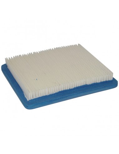 FILTRE A AIR POUR BRIGGS & STRATTON