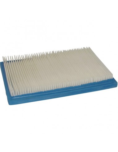 FILTRE A AIR POUR BRIGGS & STRATTON 3