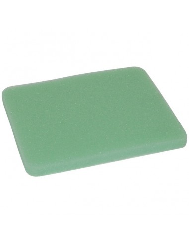 PRE-FILTRE POUR BRIGGS & STRATTON (271933/491435)