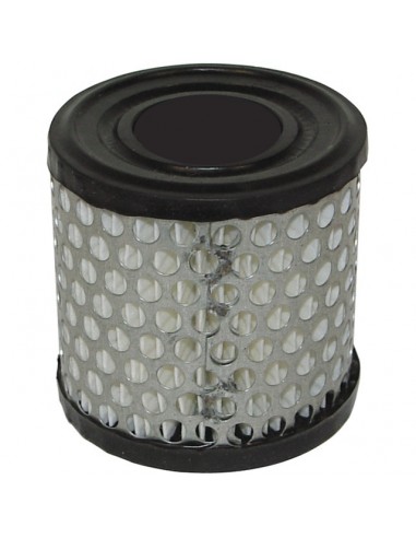 FILTRE A AIR POUR BRIGGS & STRATTON 2 A 5CV (396424)